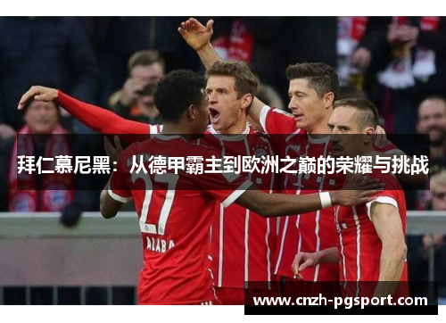 拜仁慕尼黑：从德甲霸主到欧洲之巅的荣耀与挑战
