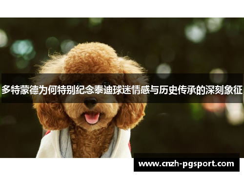 多特蒙德为何特别纪念泰迪球迷情感与历史传承的深刻象征