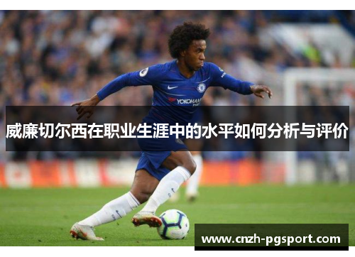 威廉切尔西在职业生涯中的水平如何分析与评价