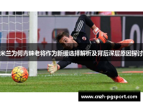 米兰为何青睐老将作为新援选择解析及背后深层原因探讨