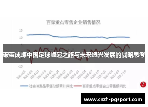 破茧成蝶中国足球崛起之路与未来振兴发展的战略思考