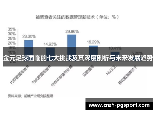 金元足球面临的七大挑战及其深度剖析与未来发展趋势