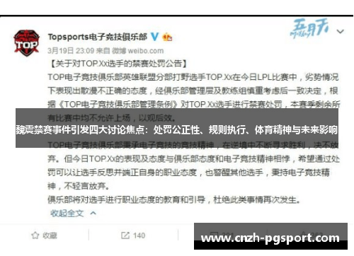 魏震禁赛事件引发四大讨论焦点：处罚公正性、规则执行、体育精神与未来影响